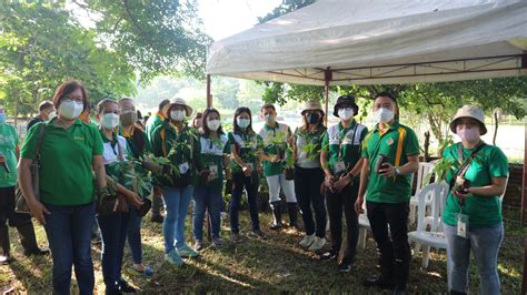 tree planting cavite|Admin officials participate in tree planting activity – .
